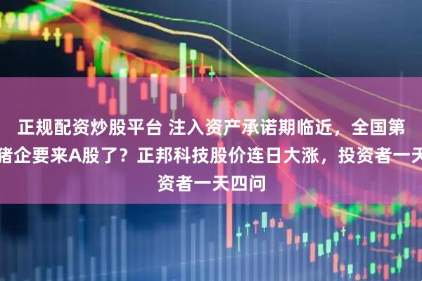 正规配资炒股平台 注入资产承诺期临近，全国第三大猪企要来A股了？正邦科技股价连日大涨，投资者一天四问