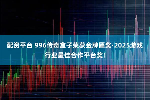 配资平台 996传奇盒子荣获金牌匾奖·2025游戏行业最佳合作平台奖！